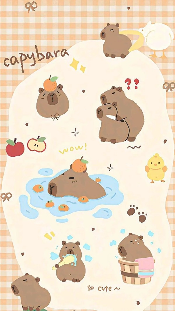 Hình nền Capybara cute 10