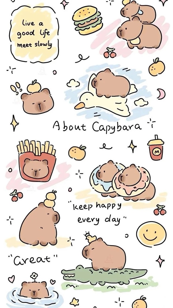 Hình nền Capybara 12