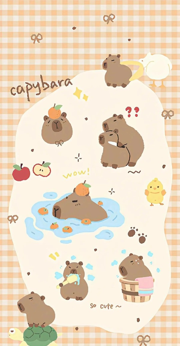 Hình nền Capybara 18