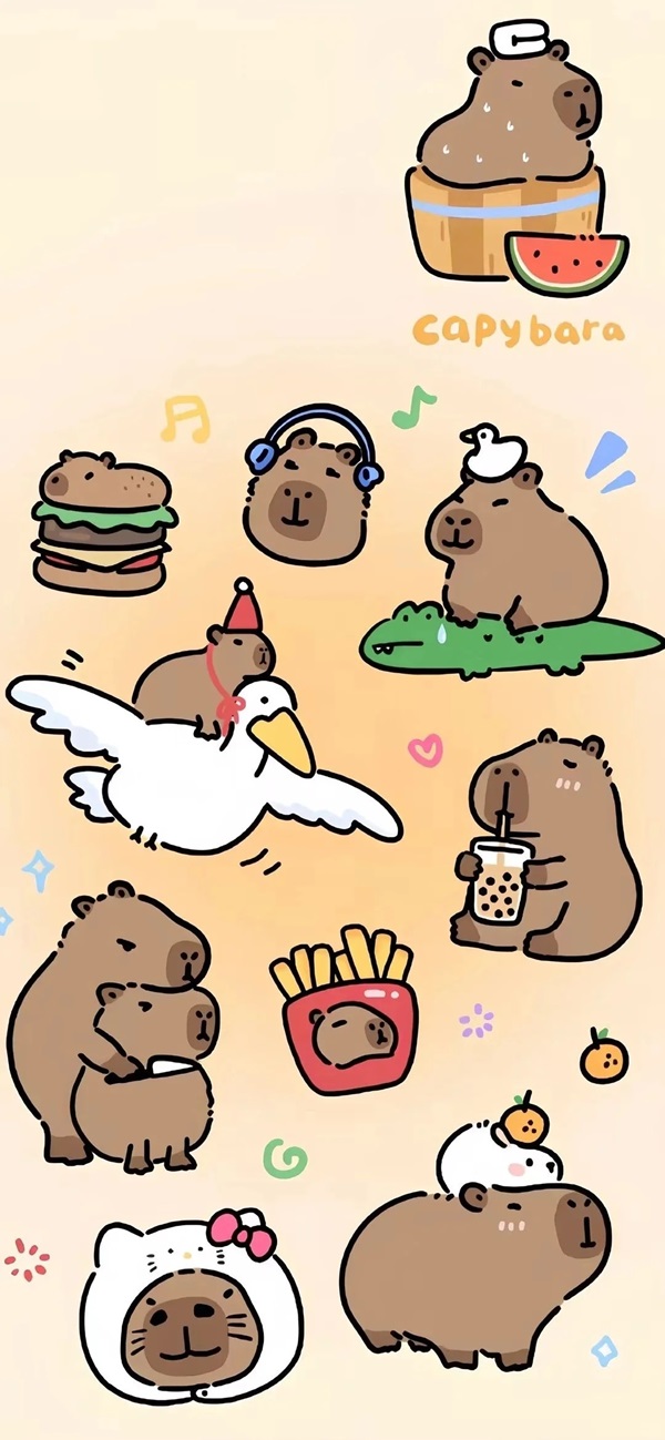 Hình nền Capybara dễ thương 24