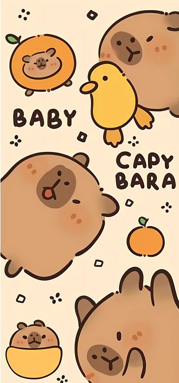 Hình nền Capybara đáng yêu 32