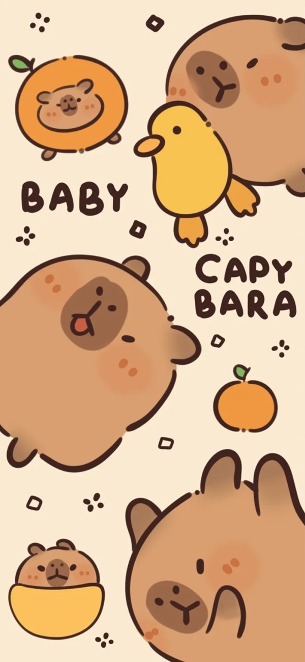 Hình nền Capybara đáng yêu 34