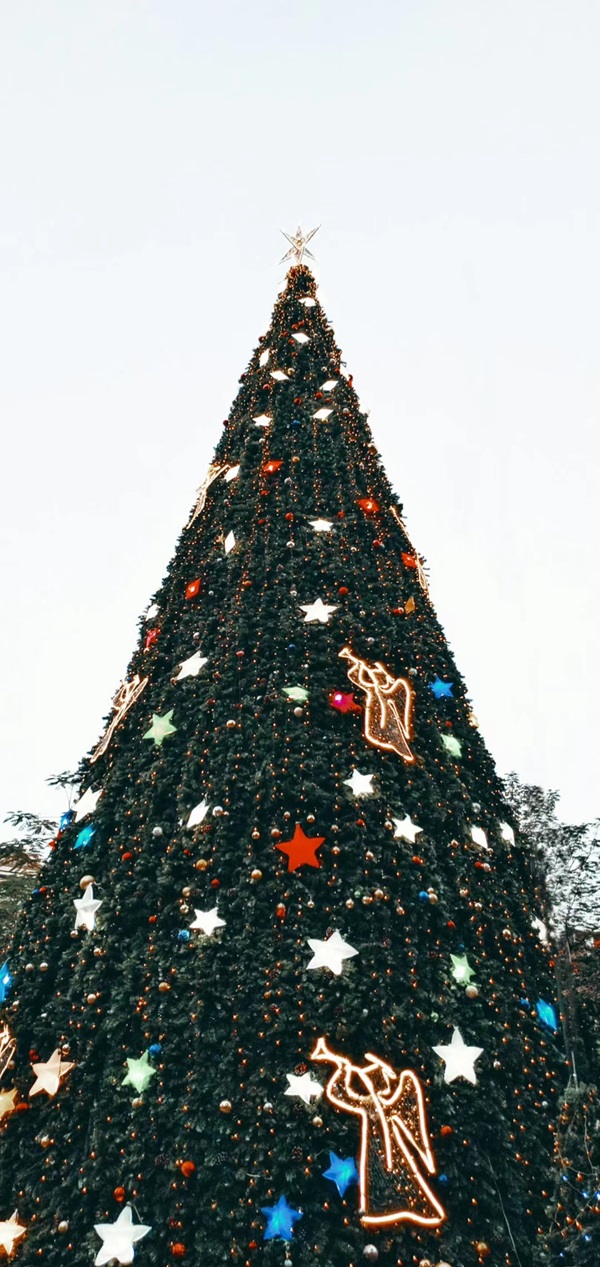 Hình nền cây thông Noel 9