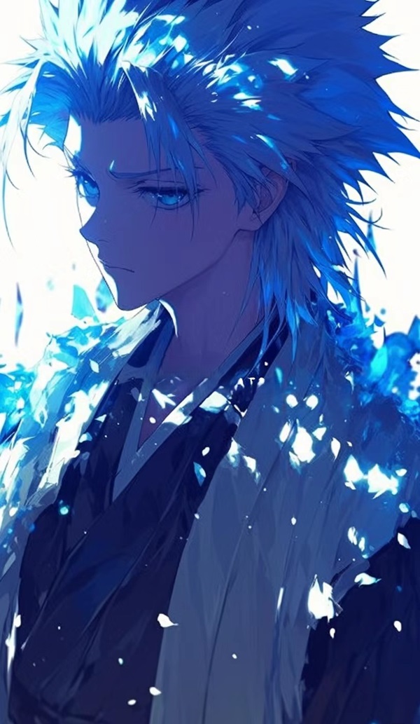 hình nền Hitsugaya Toshiro 14