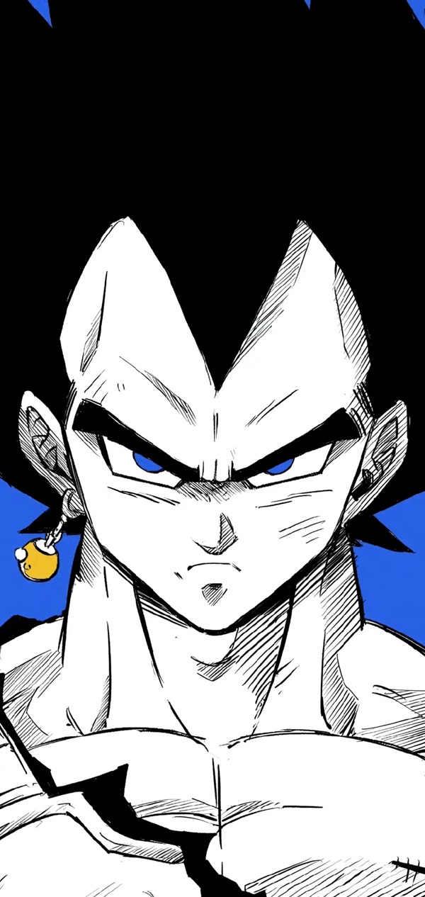 Hình nền Vegeta đẹp​ 24